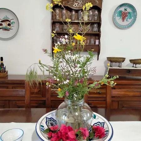 La Pomelia *